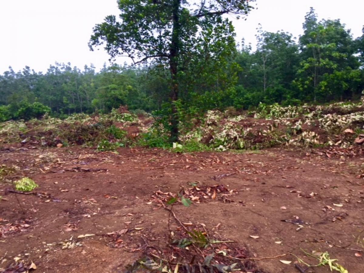 Picture of Home For Sale in Alutgama, Kalutara, Sri Lanka