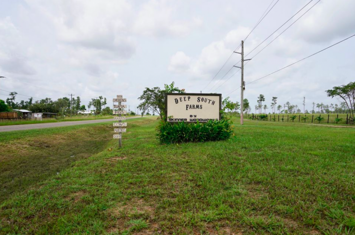 Picture of Commercial Farms For Sale in George Town, Stann Creek, Belize