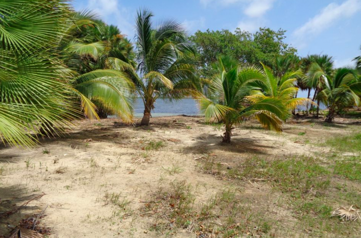 Picture of Residential Lots For Sale in Independence, Stann Creek, Belize