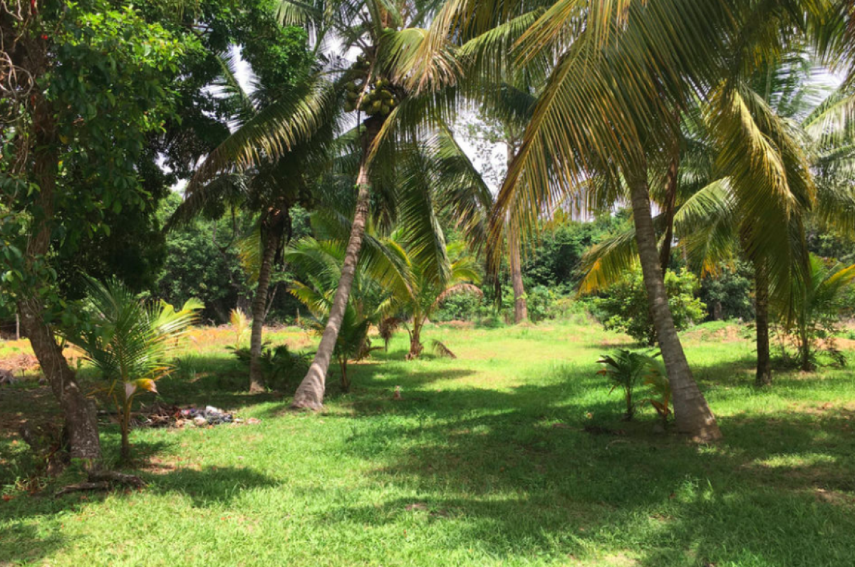 Picture of Home For Sale in Placencia, Stann Creek, Belize