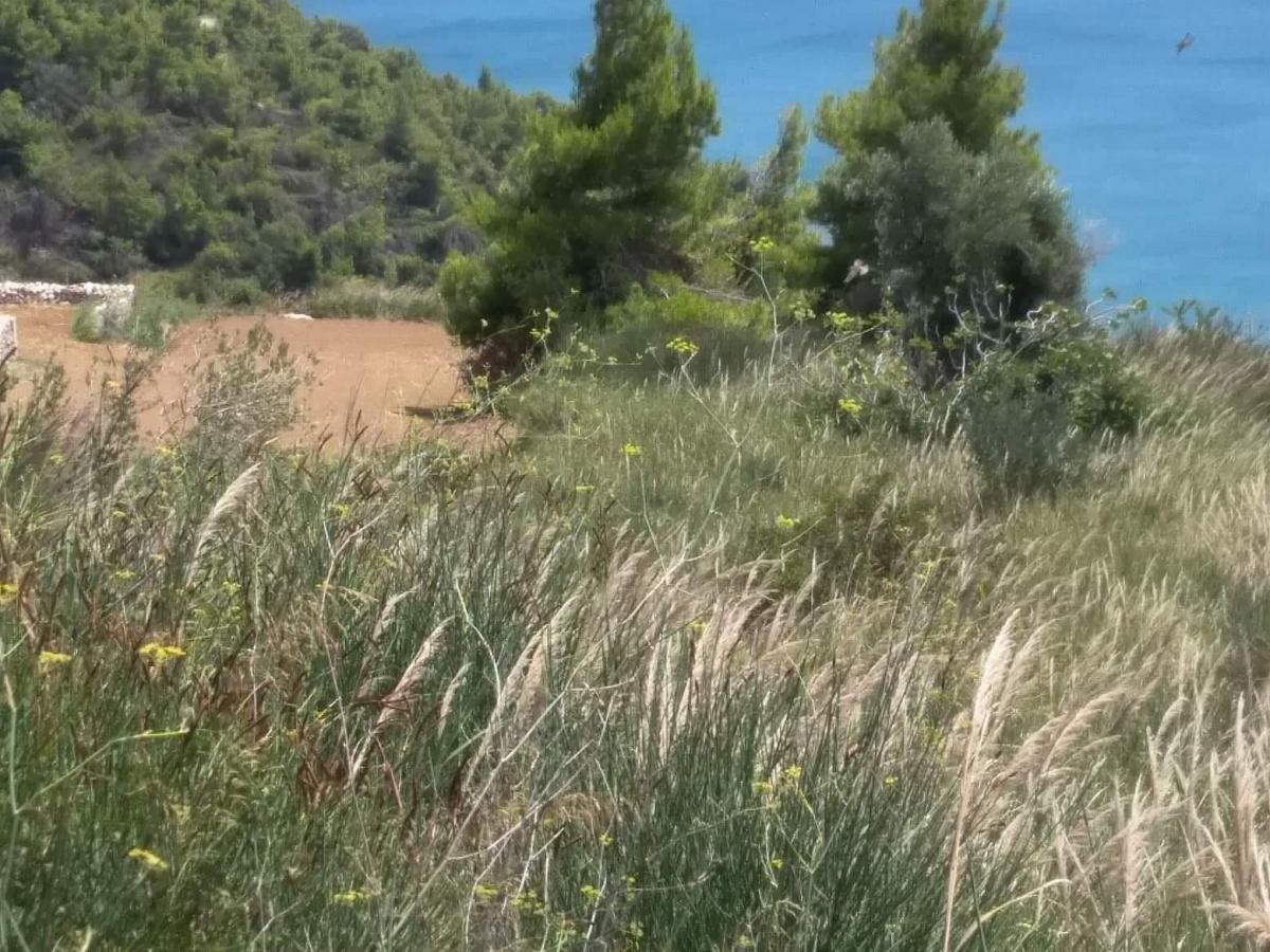 Picture of Commercial Land For Sale in Eretria, Evia, Greece