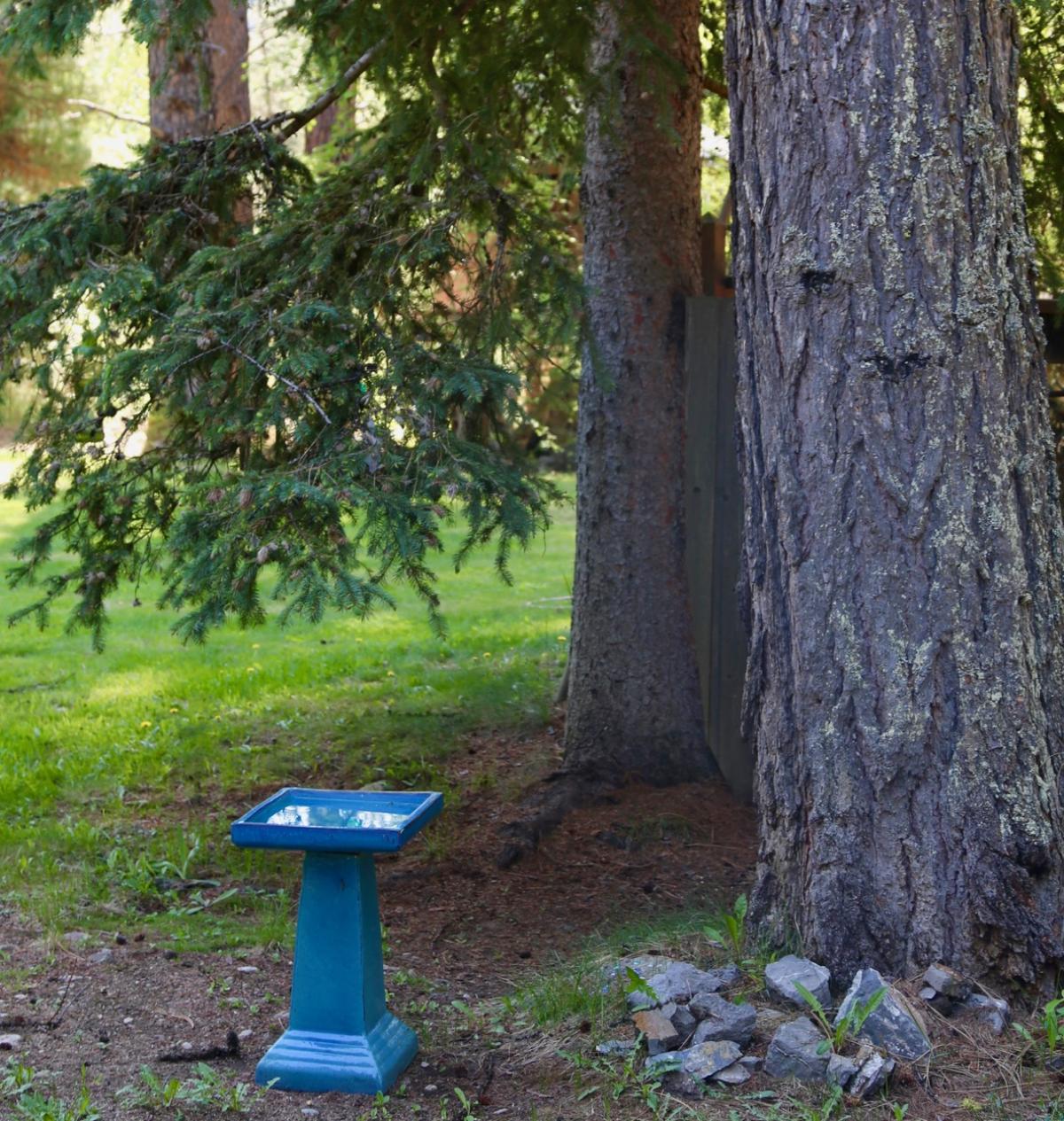 Picture of Home For Sale in Castlegar, British Columbia, Canada