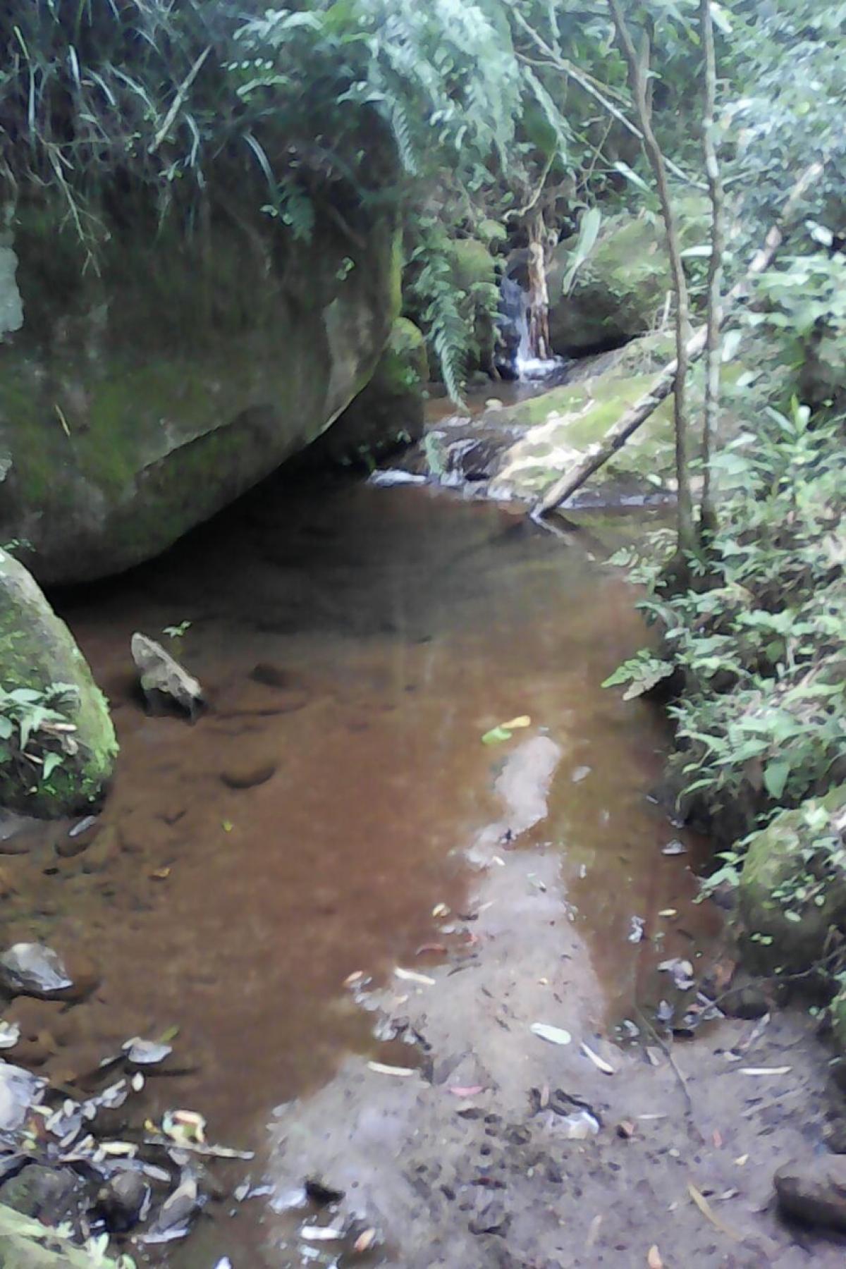 Picture of Commercial Farms For Sale in Paraisopolis, Minas Gerais, Brazil
