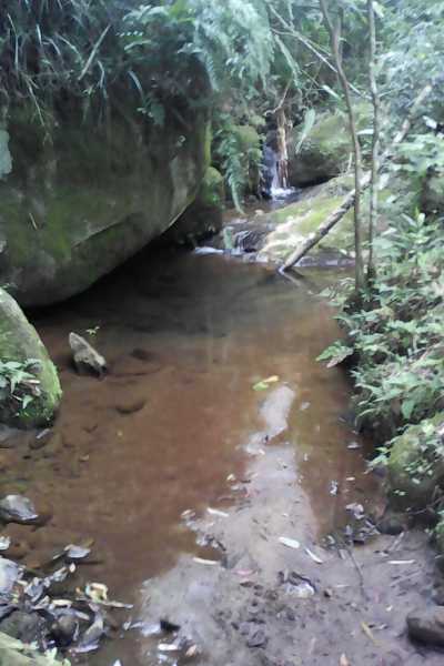 Commercial Farms For Sale in Paraisopolis, Brazil
