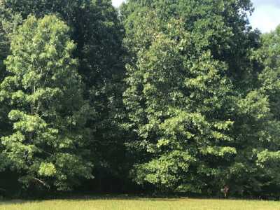 Residential Land For Sale in Primm Springs, Tennessee