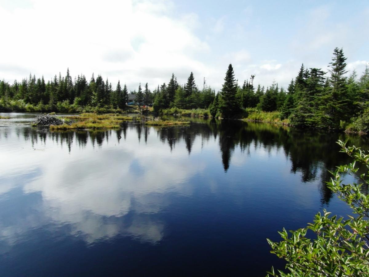 Picture of Commercial Land For Sale in Halifax, Nova Scotia, Canada