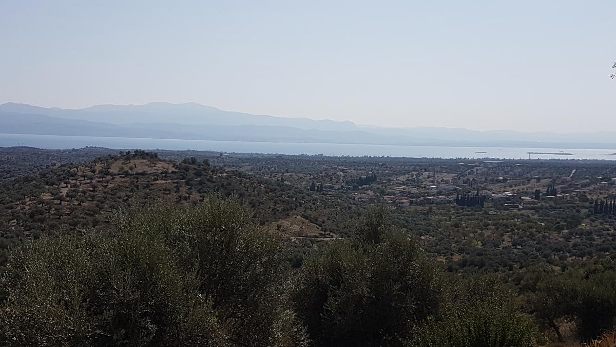 Picture of Residential Land For Sale in Eretria, Evia, Greece