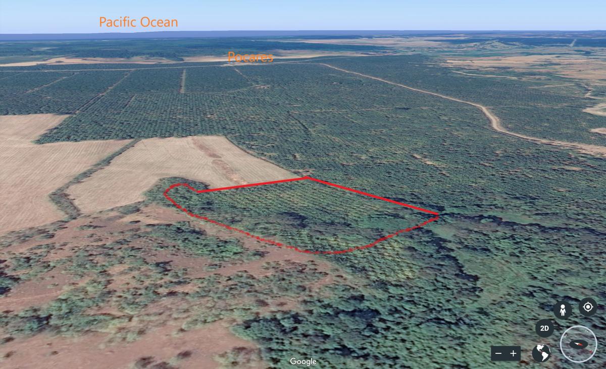 Picture of Commercial Farms For Sale in Quepos, Puntarenas, Costa Rica