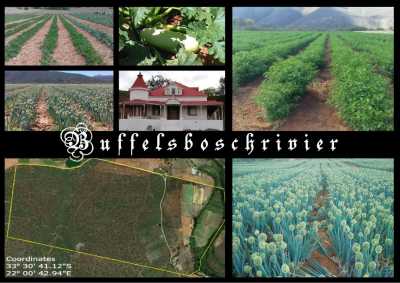 Farm For Sale in George, South Africa