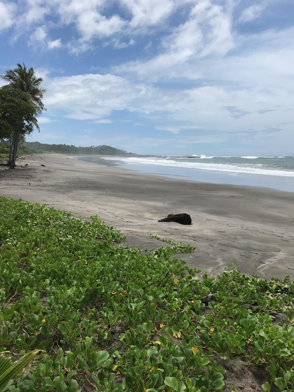 Picture of Commercial Land For Sale in Tamarindo, Guanacaste, Costa Rica