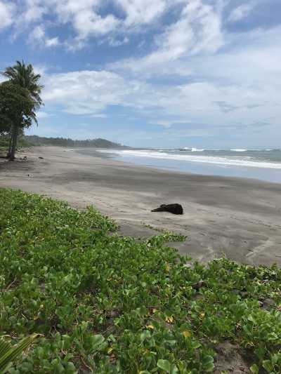 Commercial Land For Sale in Tamarindo, Costa Rica