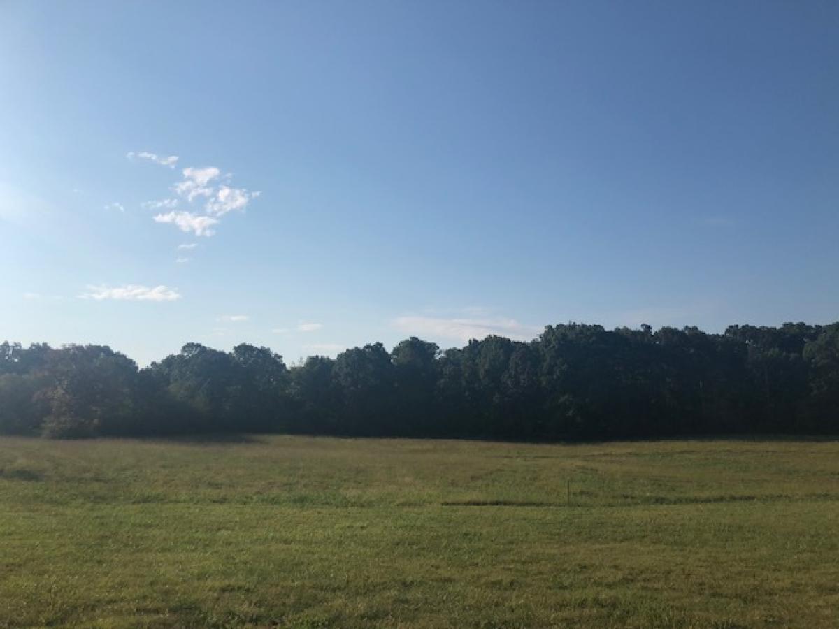 Picture of Raw Land For Sale in Franklin, Tennessee, United States