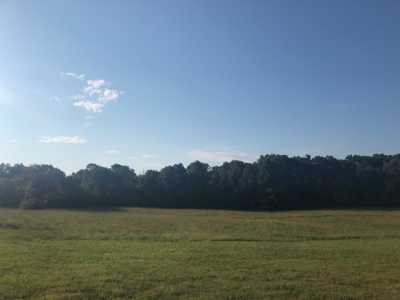 Raw Land For Sale in Franklin, Tennessee