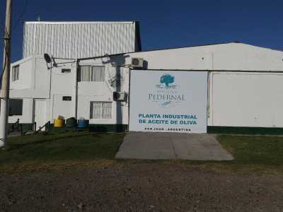 Commercial Farms For Sale in San Juan, Argentina