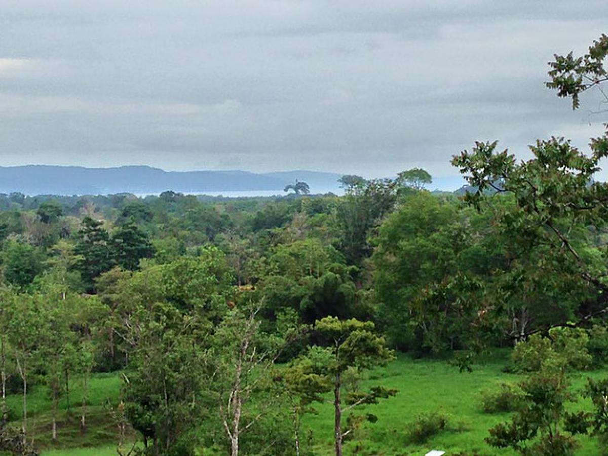 Picture of Residential Land For Sale in Puntarenas, Puntarenas, Costa Rica