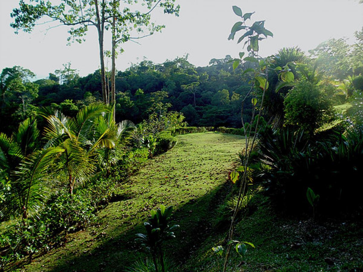 Picture of Residential Land For Sale in Puntarenas, Puntarenas, Costa Rica
