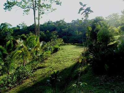 Residential Land For Sale in Puntarenas, Costa Rica