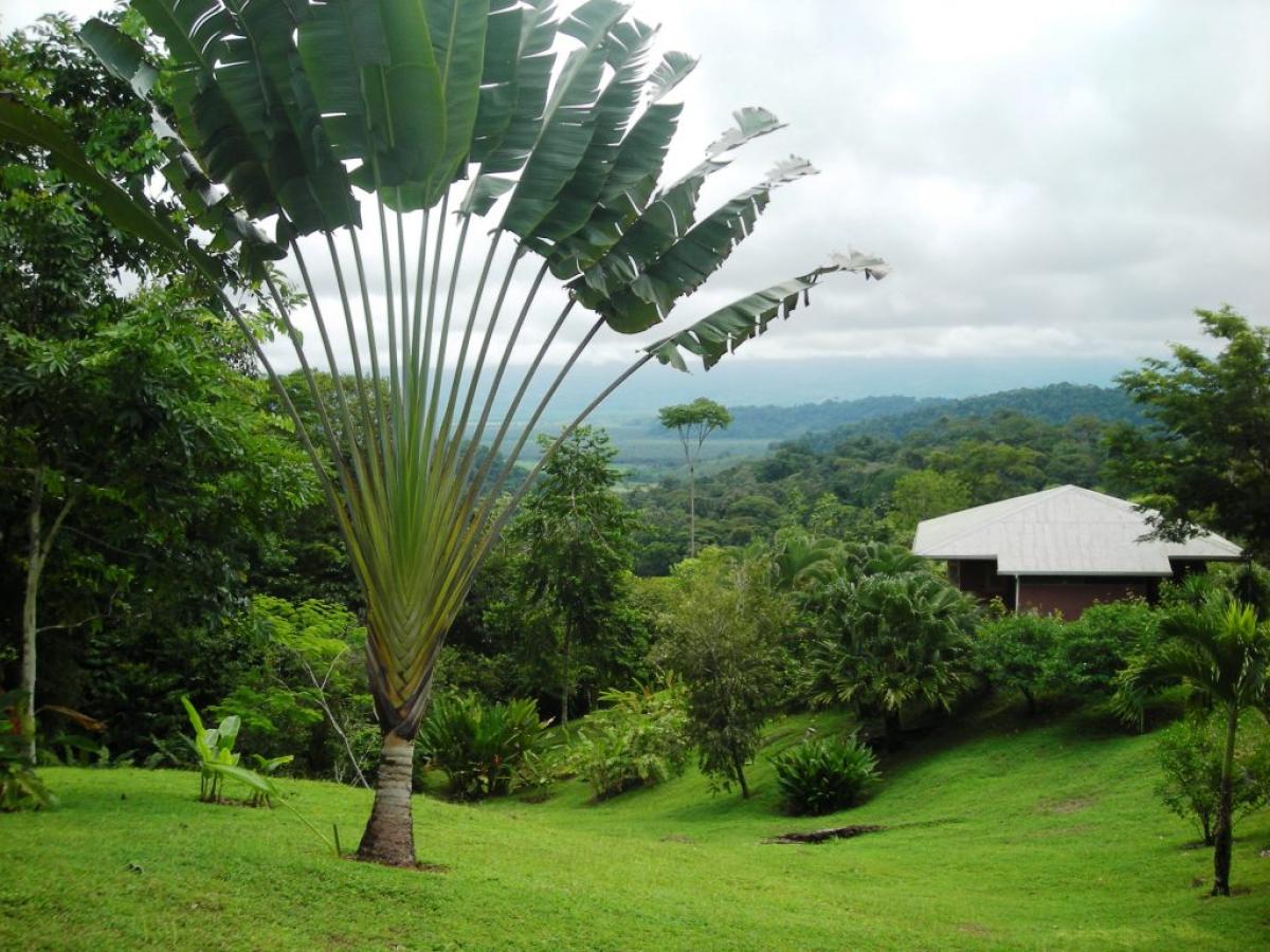 Picture of Home For Sale in Puntarenas, Puntarenas, Costa Rica