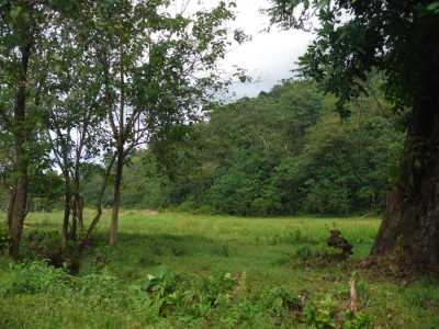 Commercial Land For Sale in Puntarenas, Costa Rica
