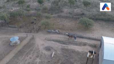 Commercial Farms For Sale in Salta, Argentina