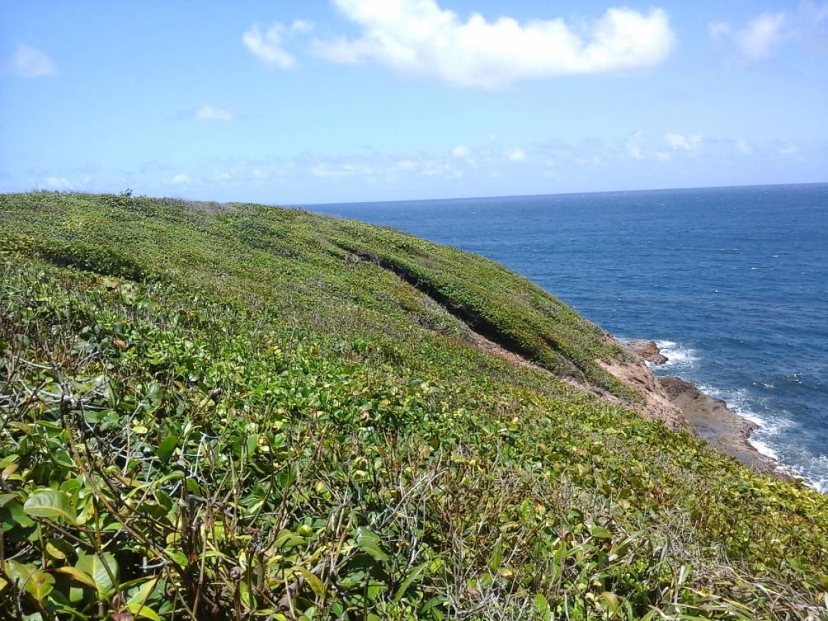 Picture of Residential Land For Sale in Calibishie, Saint Andrew, Dominica