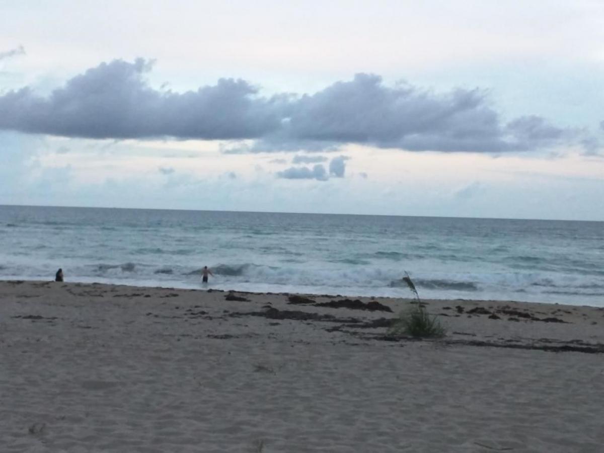 Picture of Home For Rent in Juno Beach, Florida, United States