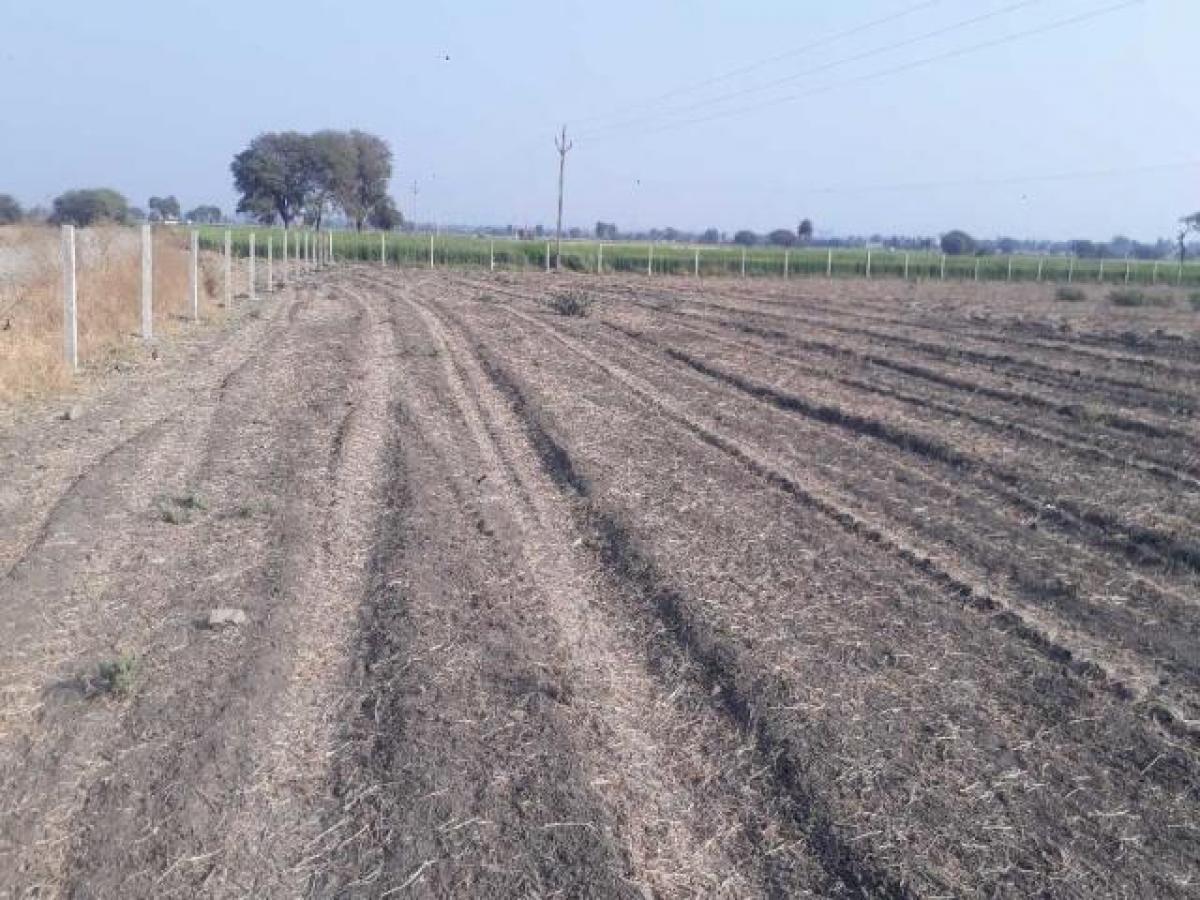 Picture of Residential Land For Sale in Indore, Indore, India