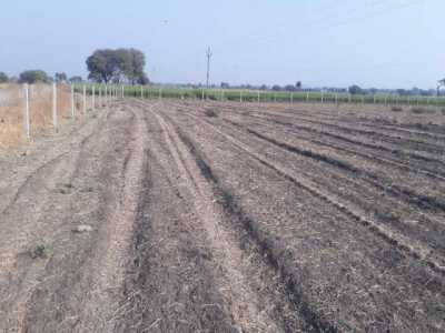 Residential Land For Sale in