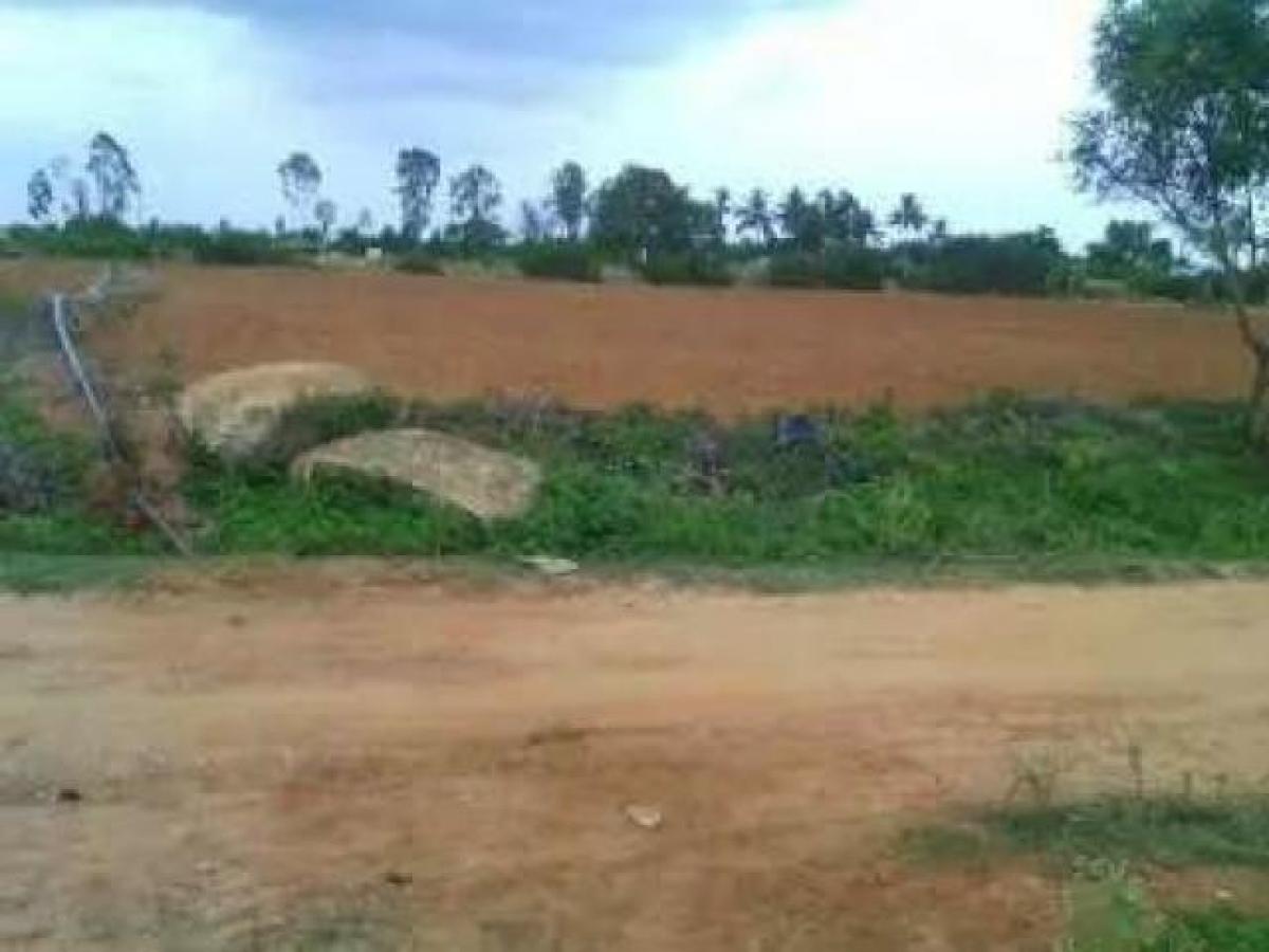Picture of Residential Land For Sale in Bangalore, Karnataka, India