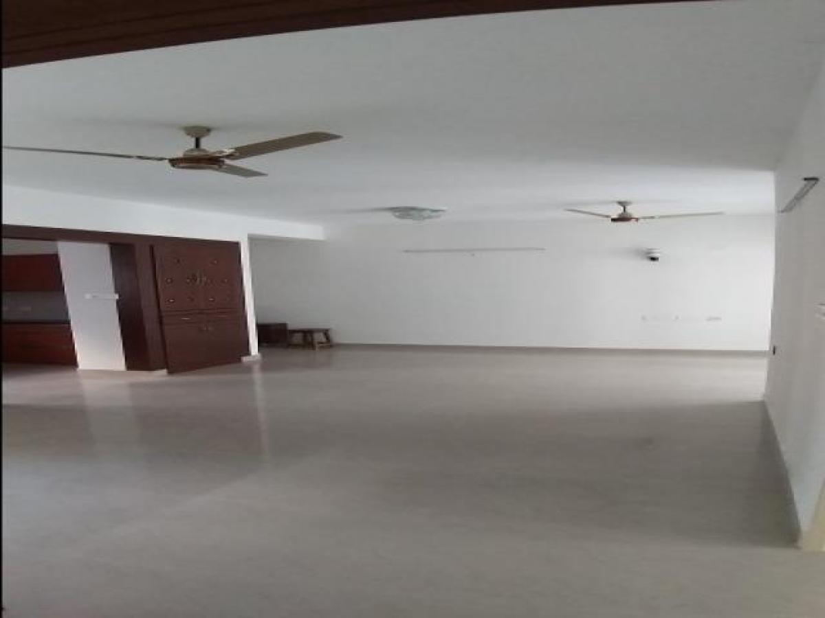 Picture of Apartment For Rent in Chennai, Tamil Nadu, India