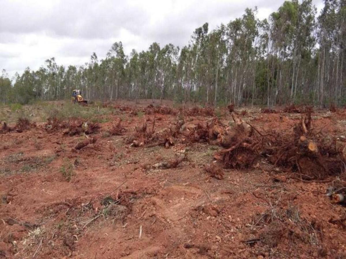 Picture of Residential Land For Sale in Bangalore, Karnataka, India