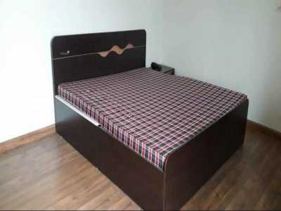 Home For Rent in Noida, India