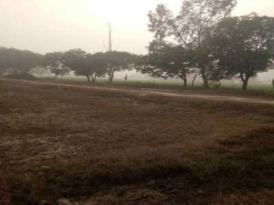 Residential Land For Sale in Palwal, India