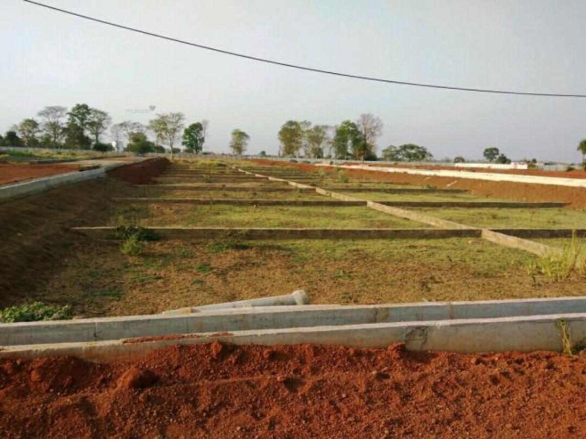 Picture of Residential Land For Sale in Raipur, Chhattisgarh, India
