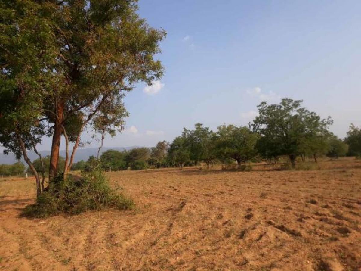 Picture of Residential Land For Sale in Dindigul, Tamil Nadu, India