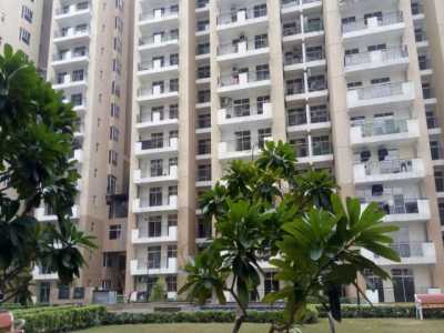 Apartment For Rent in Greater Noida, India