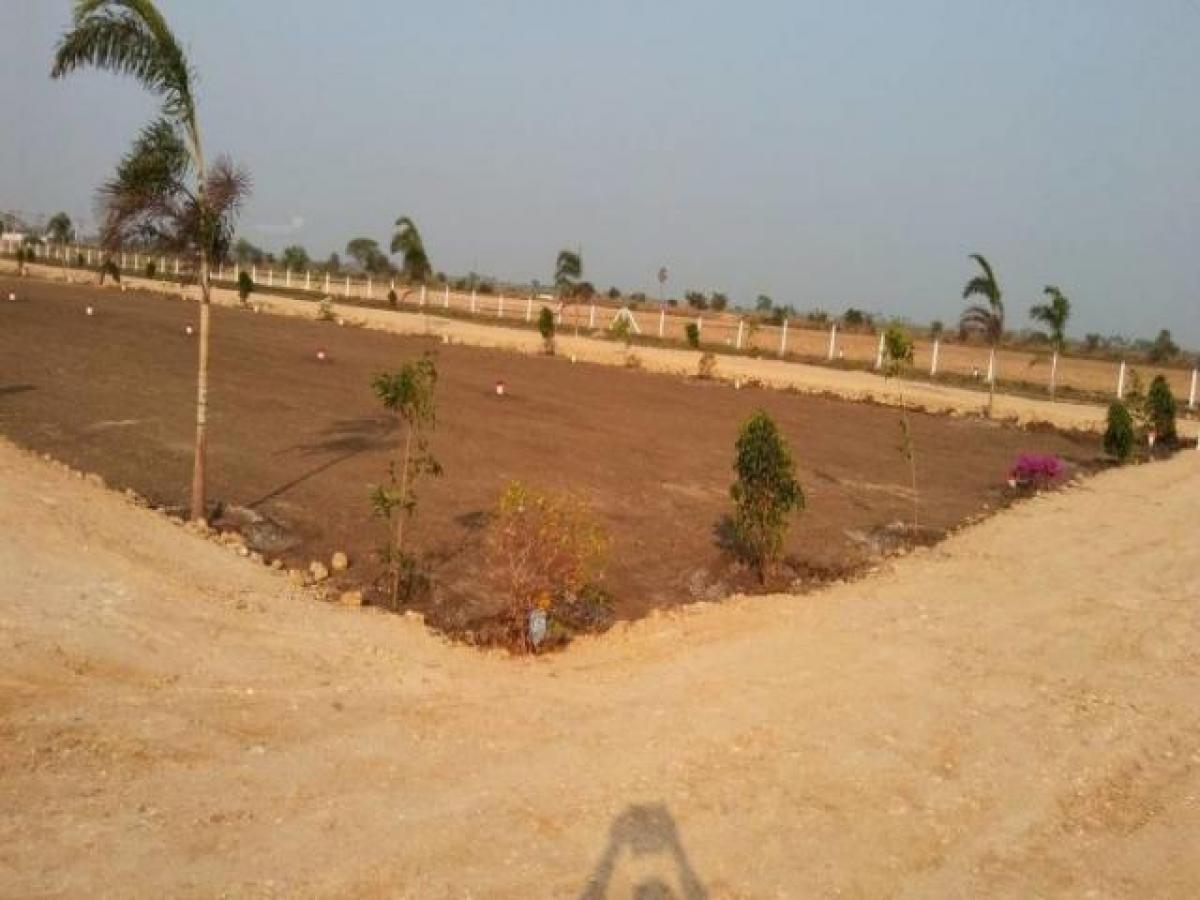 Picture of Residential Land For Sale in Guntur, Andhra Pradesh, India