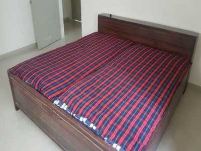 Apartment For Rent in 