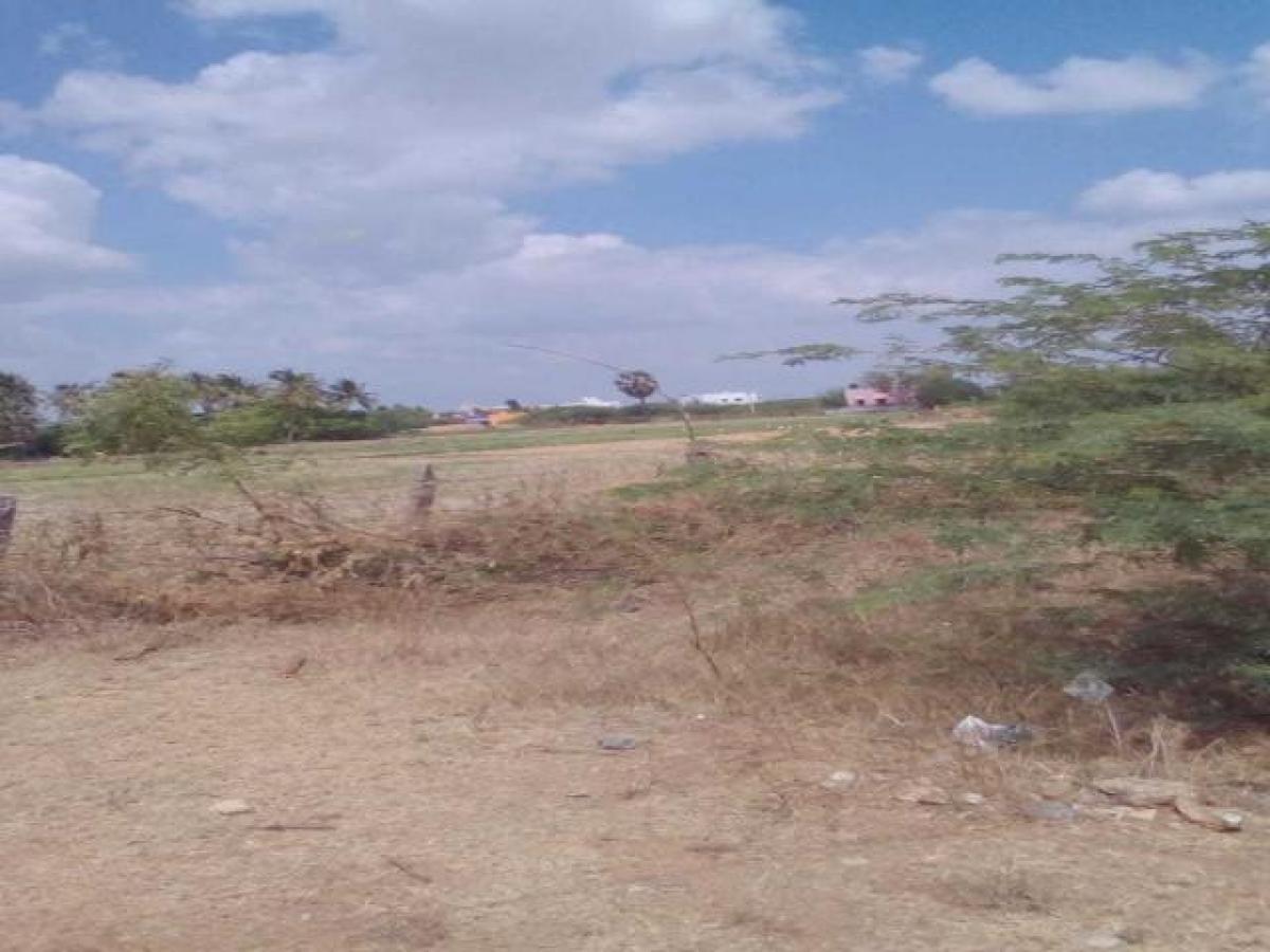 Picture of Residential Land For Sale in Tirunelveli, Tamil Nadu, India