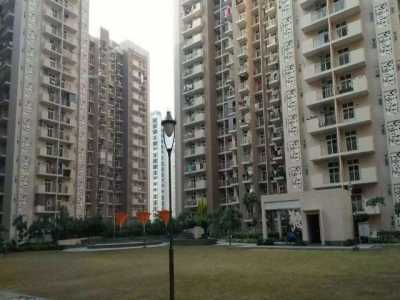 Apartment For Rent in Greater Noida, India
