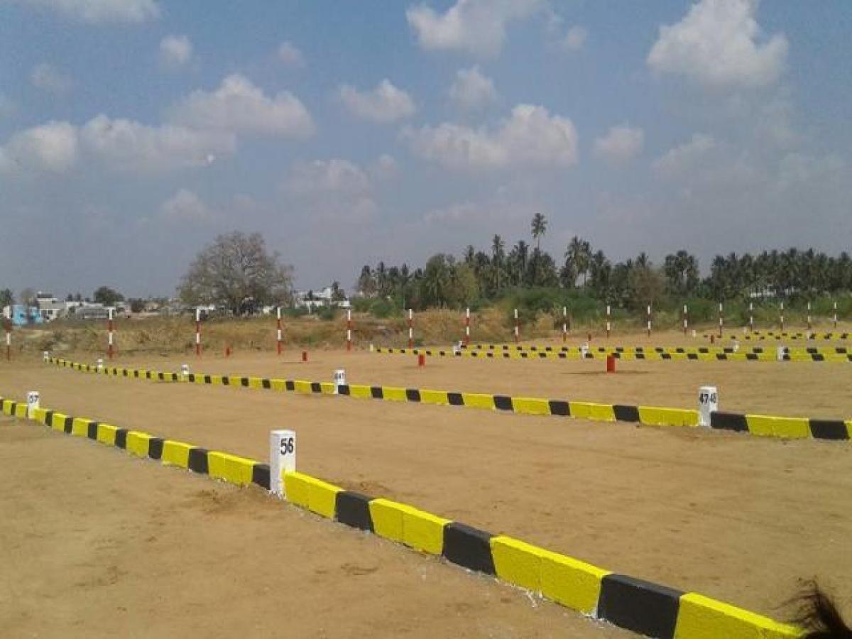 Picture of Residential Land For Sale in Dindigul, Tamil Nadu, India