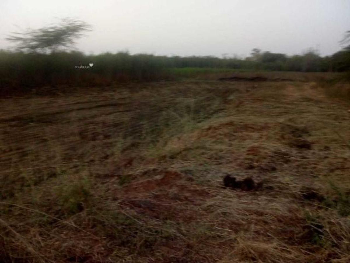 Picture of Residential Land For Sale in Vijayawada, Andhra Pradesh, India