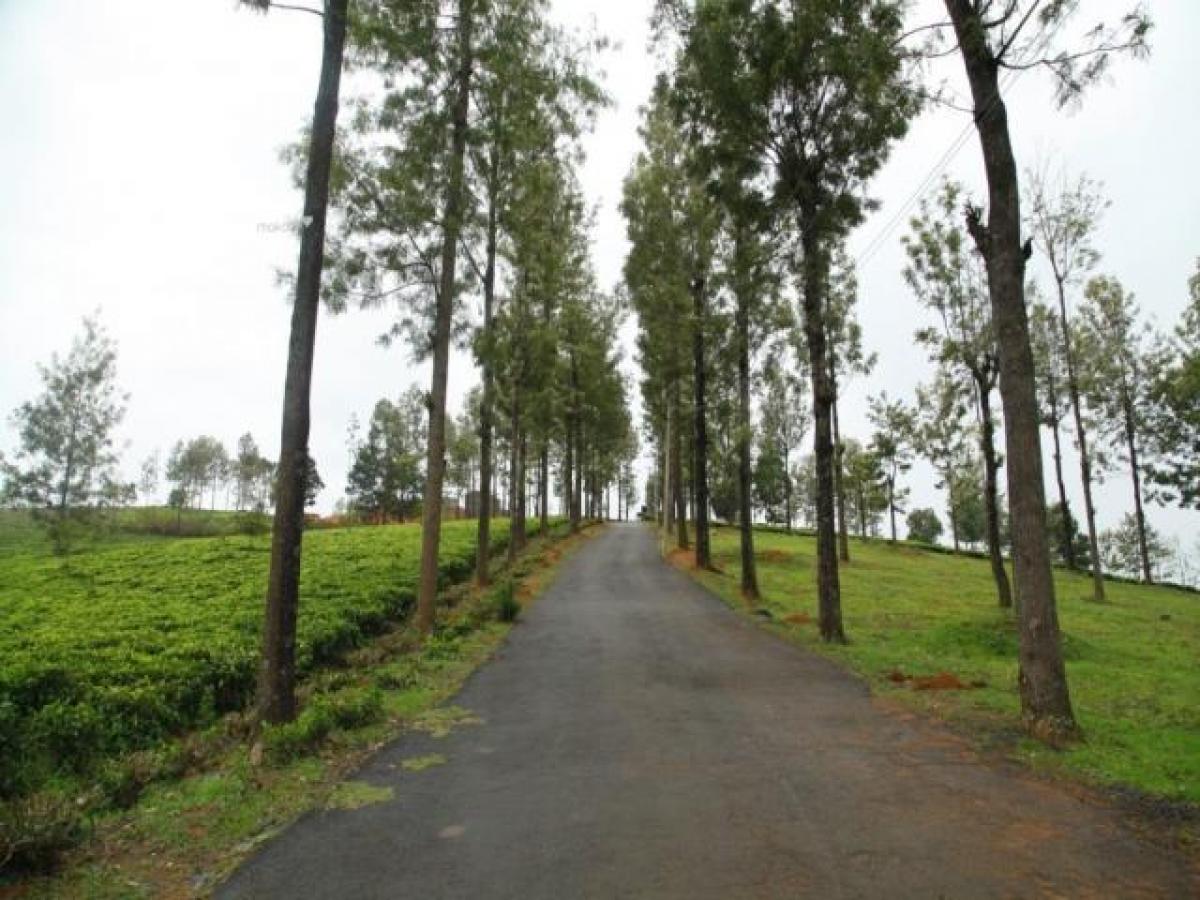 Picture of Residential Land For Sale in Ooty, Tamil Nadu, India