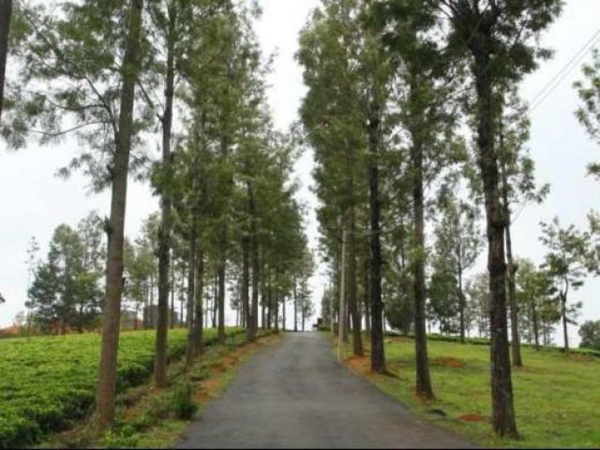 Picture of Residential Land For Sale in Ooty, Tamil Nadu, India