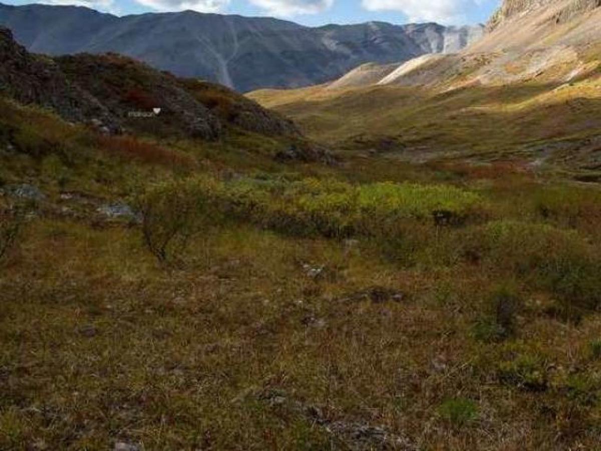 Picture of Residential Land For Sale in Ooty, Tamil Nadu, India