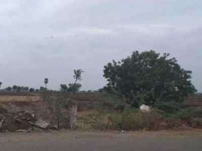 Residential Land For Sale in Guntur, India