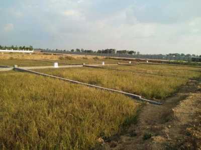 Residential Land For Sale in Raipur, India