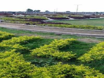 Residential Land For Sale in Raipur, India