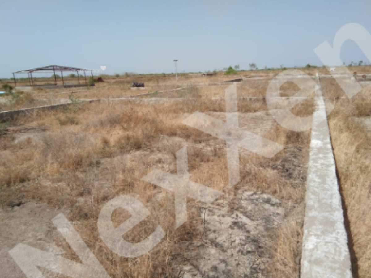 Picture of Residential Land For Sale in Ahmedabad, Gujarat, India