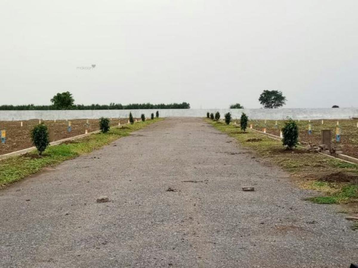 Picture of Residential Land For Sale in Guntur, Andhra Pradesh, India